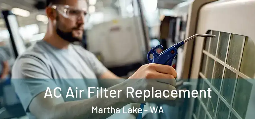  AC Air Filter Replacement Martha Lake - WA