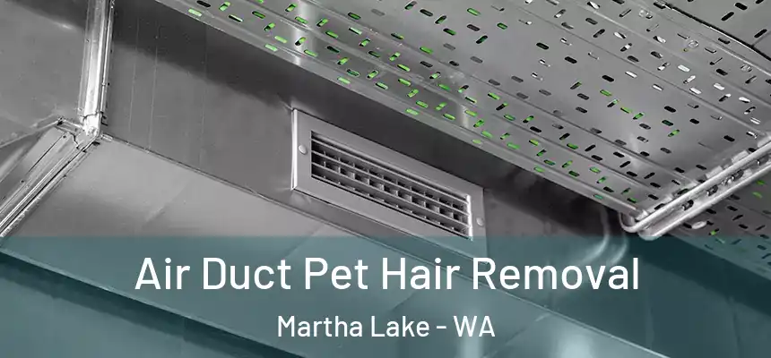  Air Duct Pet Hair Removal Martha Lake - WA