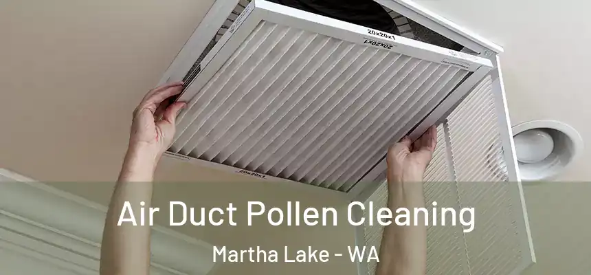  Air Duct Pollen Cleaning Martha Lake - WA