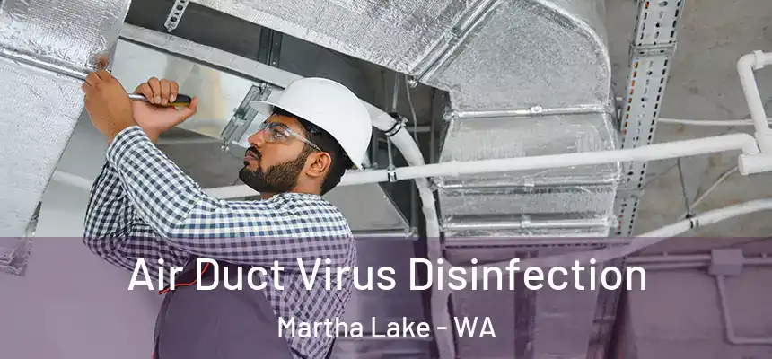  Air Duct Virus Disinfection Martha Lake - WA