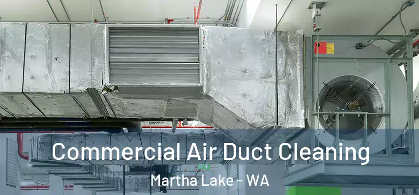  Commercial Air Duct Cleaning Martha Lake - WA