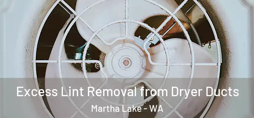 Excess Lint Removal from Dryer Ducts Martha Lake - WA