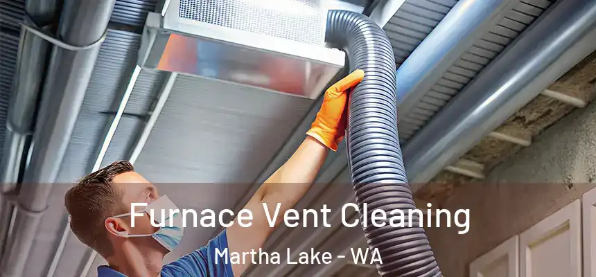  Furnace Vent Cleaning Martha Lake - WA