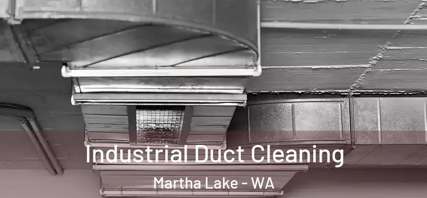  Industrial Duct Cleaning Martha Lake - WA