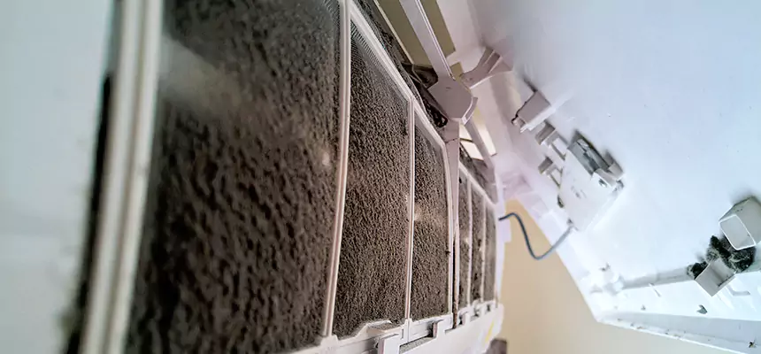 Preventive Air Duct Bacteria Removal in Martha Lake