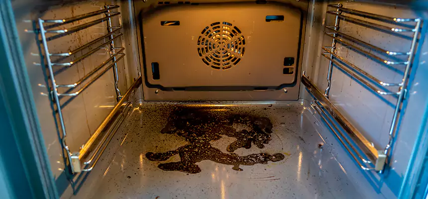 Our Air Purifier Installation Services in Martha Lake, WA