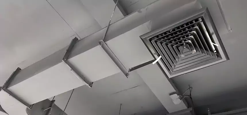 Restorative Allergy Relief Vent Cleaning – Coil, Blower & Housing Detail in Martha Lake