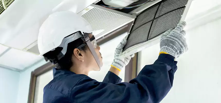 Our Mold & Mildew Removal from Air Ducts Services in Martha Lake, WA