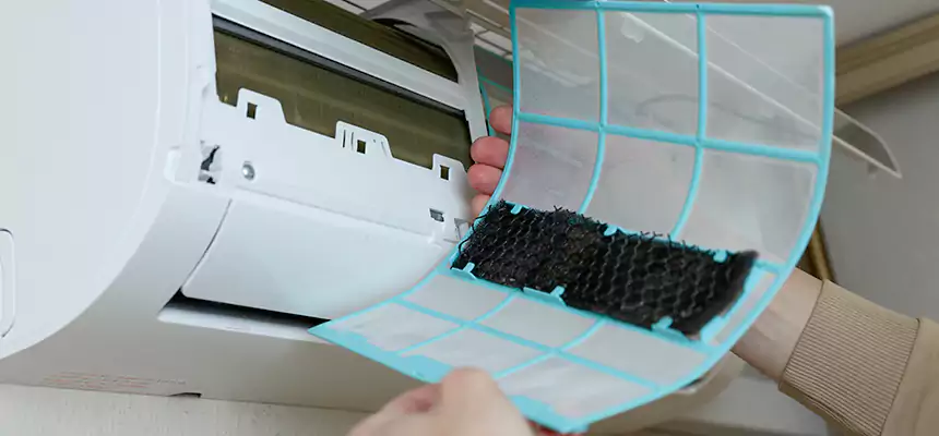 Gentle Ductwork Odor-Control Pet Dander Duct Cleaning in Martha Lake, WA