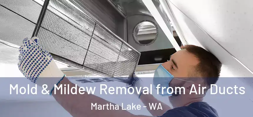  Mold & Mildew Removal from Air Ducts Martha Lake - WA