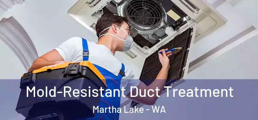  Mold-Resistant Duct Treatment Martha Lake - WA