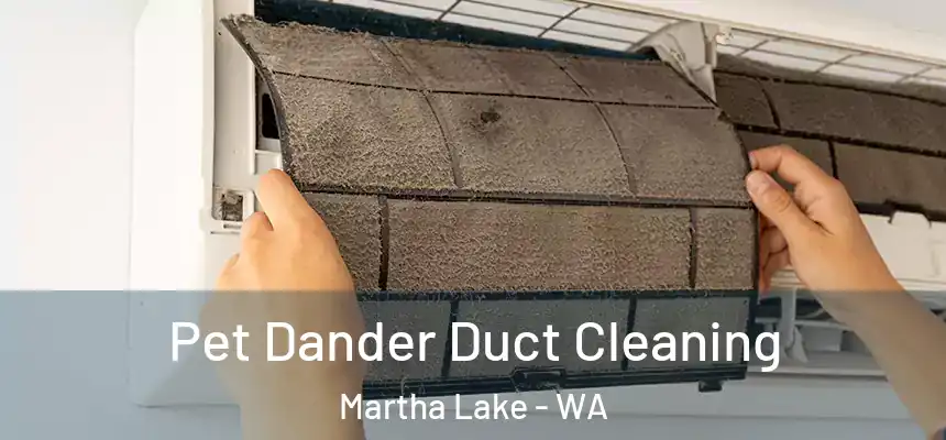  Pet Dander Duct Cleaning Martha Lake - WA