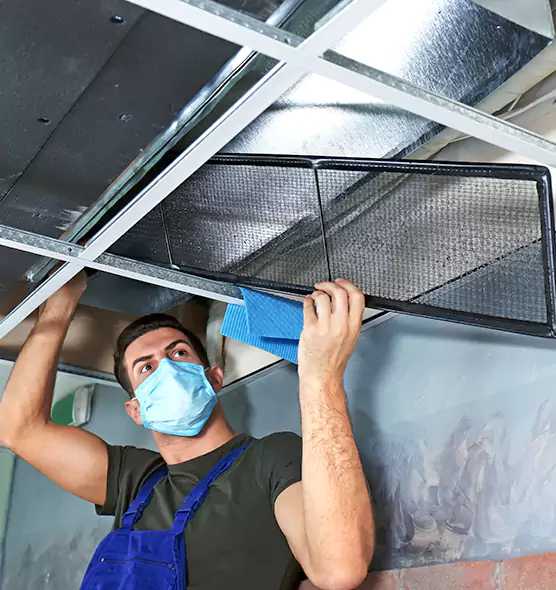 Professional Air Duct Pollen Cleaning in Martha Lake, WA