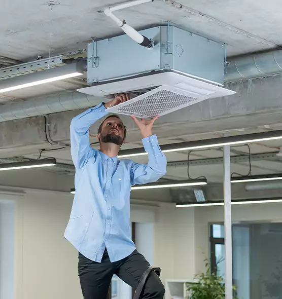 Advanced Rodent Droppings In Vents in Martha Lake, WA