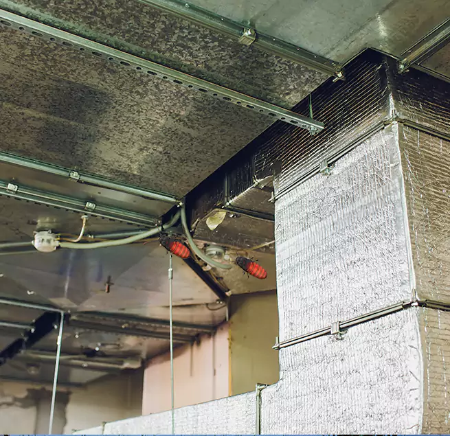 Why Homeowners & Businesses Trust Us in Martha Lake, WA?