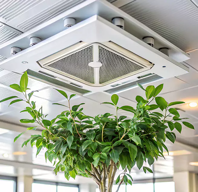 Why Homeowners & Businesses Trust Us in Martha Lake, WA?