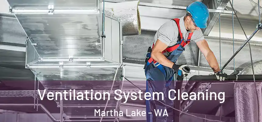  Ventilation System Cleaning Martha Lake - WA